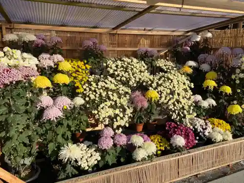 宮地嶽神社のその他建物