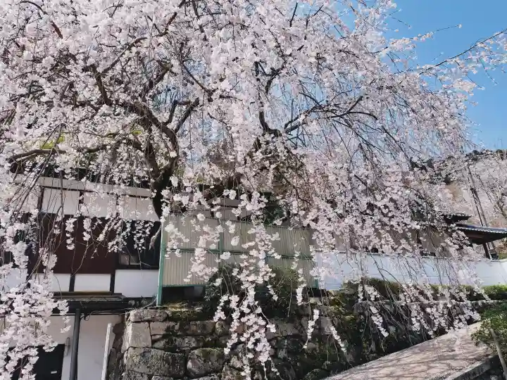 長谷寺の{uncategorized: "未分類", other: "その他", undefined: "問題あり", building: "その他建物", grave: "お墓", sacred_gate: "鳥居", guardian: "狛犬", statue: "像", buddha: "仏像", history: "歴史", nature: "自然", garden: "庭園", animal: "動物", pagoda: "塔", temizu: "手水舎", mountain_gate: "山門・神門", sanctuary: "本殿・本堂", subordinate: "末社・摂社", art: "芸術", scenery: "景色", jizo: "地蔵", ema: "絵馬", goshuin: "御朱印", omikuji: "おみくじ", items: "授与品その他", amulet: "お守り", goshuincho: "御朱印帳", eats: "食事", festival: "お祭り", votive_dance: "神楽", shichigosan: "七五三参", wedding: "結婚式", experience: "体験その他", initially: "初詣", around: "周辺", anti_infection: "感染症対策"}
