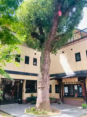 海老江八坂神社(大阪府)