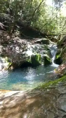 龍鎮神社の自然
