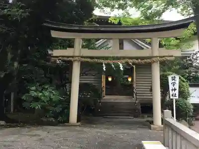 前鳥神社の鳥居
