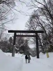 北海道神宮の鳥居