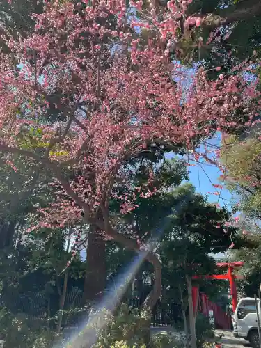 日枝神社(東京都)