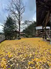 郷社八幡宮の景色