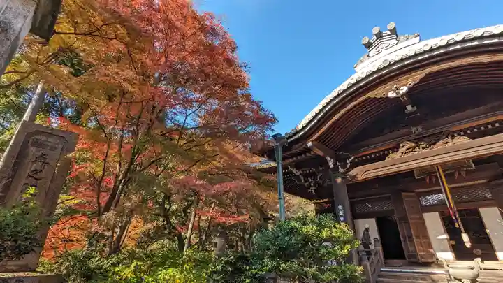 柳谷観音 楊谷寺(京都府)