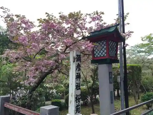 彌彦神社の自然