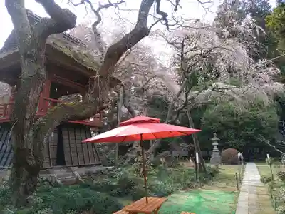 光丸山 法輪寺(栃木県)