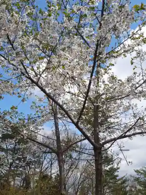 円満寺観音堂(岩手県)