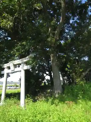 神明神社(千葉県)