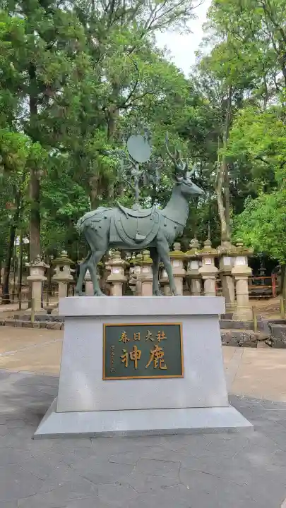 春日大社の{uncategorized: "未分類", other: "その他", undefined: "問題あり", building: "その他建物", grave: "お墓", sacred_gate: "鳥居", guardian: "狛犬", statue: "像", buddha: "仏像", history: "歴史", nature: "自然", garden: "庭園", animal: "動物", pagoda: "塔", temizu: "手水舎", mountain_gate: "山門・神門", sanctuary: "本殿・本堂", subordinate: "末社・摂社", art: "芸術", scenery: "景色", jizo: "地蔵", ema: "絵馬", goshuin: "御朱印", omikuji: "おみくじ", items: "授与品その他", amulet: "お守り", goshuincho: "御朱印帳", eats: "食事", festival: "お祭り", votive_dance: "神楽", shichigosan: "七五三参", wedding: "結婚式", experience: "体験その他", initially: "初詣", around: "周辺", anti_infection: "感染症対策"}