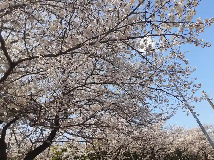 妙櫻寺(東京都)