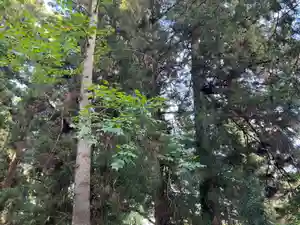 大宮温泉神社(栃木県)(2023年08月15日(火) 11時58分34秒投稿)