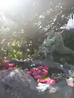 三輪神社の手水舎