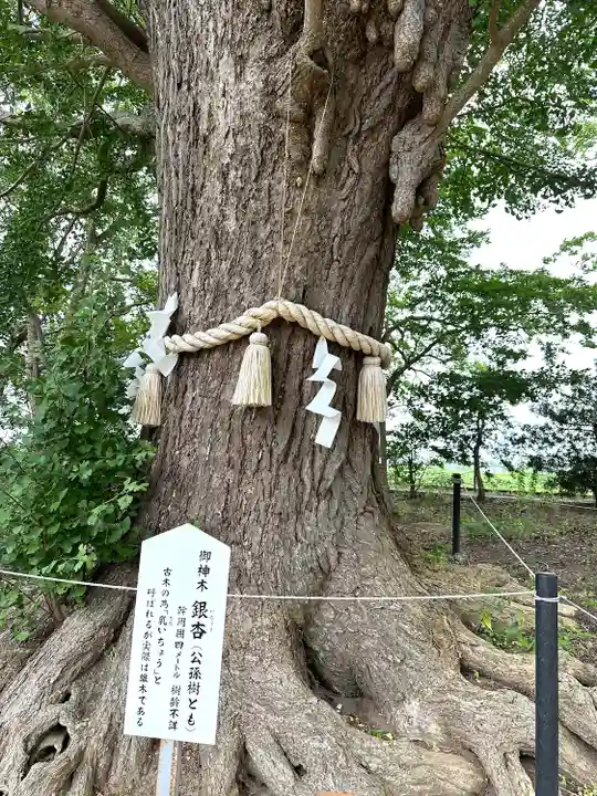 白子神社(千葉県)