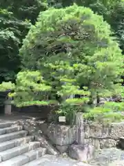 宝珠山 立石寺の庭園