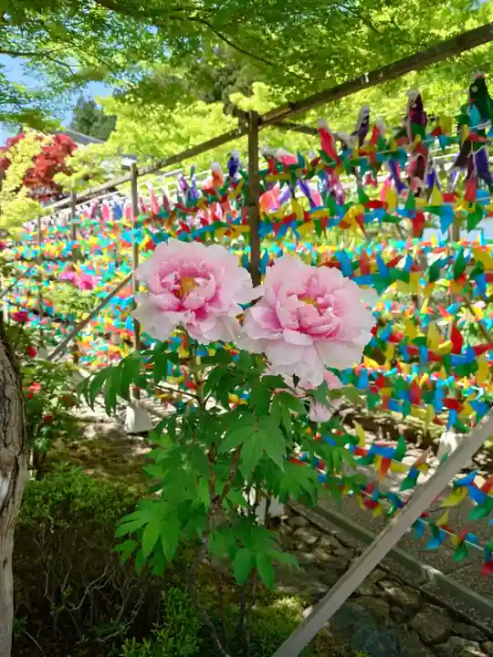 宝徳寺(群馬県)
