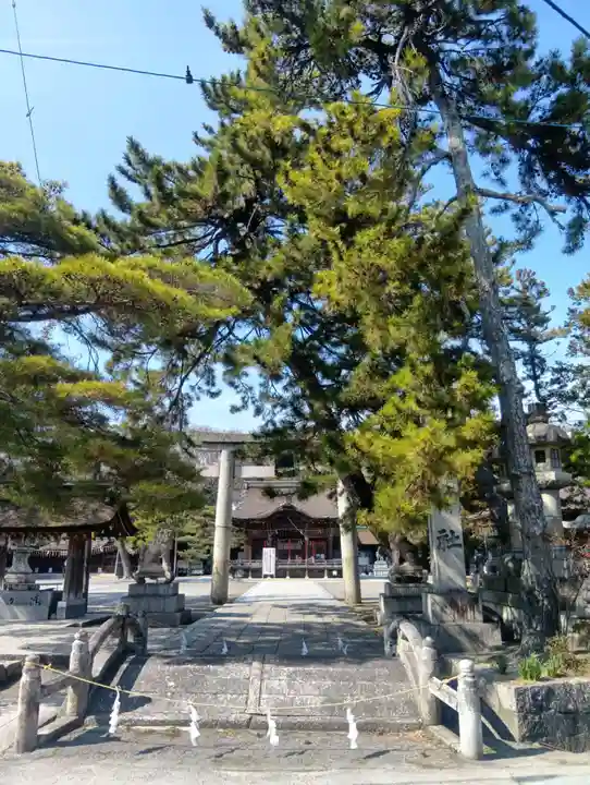 長浜八幡宮(滋賀県)
