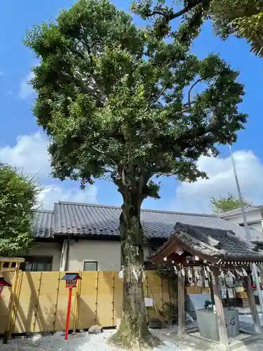 蛇窪神社の自然
