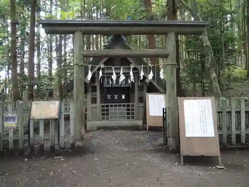 宝登山神社奥宮の鳥居