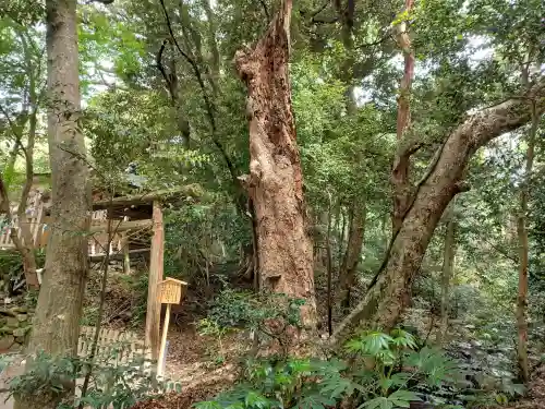 氣多大社の{uncategorized: "未分類", other: "その他", undefined: "問題あり", building: "その他建物", grave: "お墓", sacred_gate: "鳥居", guardian: "狛犬", statue: "像", buddha: "仏像", history: "歴史", nature: "自然", garden: "庭園", animal: "動物", pagoda: "塔", temizu: "手水舎", mountain_gate: "山門・神門", sanctuary: "本殿・本堂", subordinate: "末社・摂社", art: "芸術", scenery: "景色", jizo: "地蔵", ema: "絵馬", goshuin: "御朱印", omikuji: "おみくじ", items: "授与品その他", amulet: "お守り", goshuincho: "御朱印帳", eats: "食事", festival: "お祭り", votive_dance: "神楽", shichigosan: "七五三参", wedding: "結婚式", experience: "体験その他", initially: "初詣", around: "周辺", anti_infection: "感染症対策"}