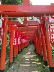 佐助稲荷神社の鳥居