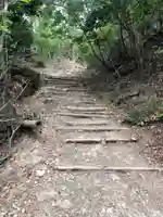 愛宕神社の自然