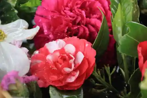 豊景神社の手水舎