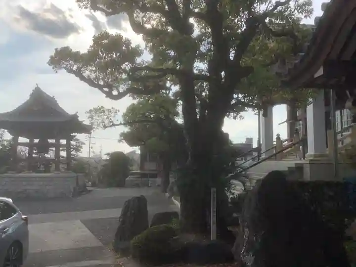 月心寺(愛知県)