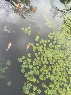 涼ケ岡八幡神社(福島県)