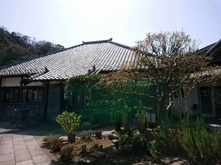 蓮乗院の本殿・本堂