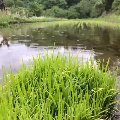 高司神社〜むすびの神の鎮まる社〜の周辺