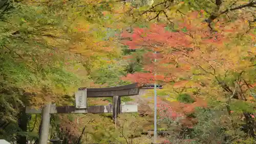 大矢田神社(岐阜県)