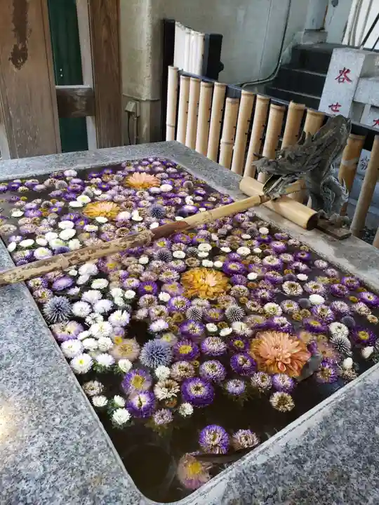 高円寺氷川神社(東京都)