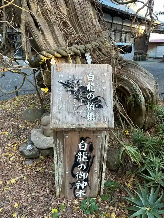 伊古奈比咩命神社(静岡県)