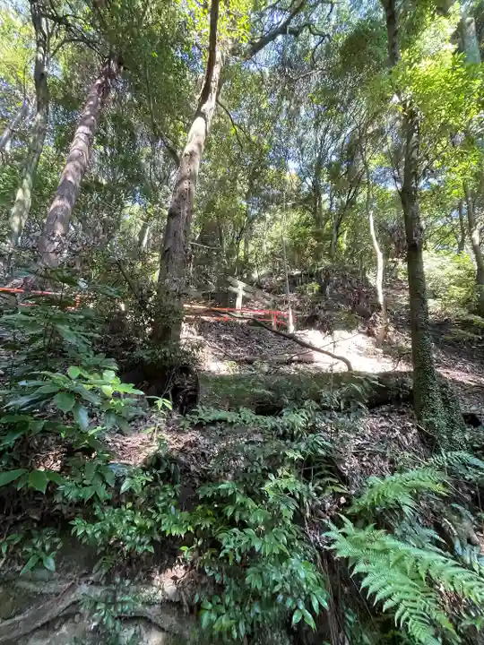 朝護孫子寺の周辺