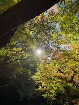 財賀寺(愛知県)