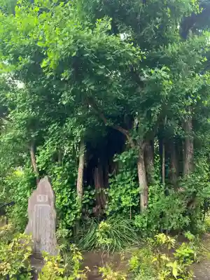 常楽寺(神奈川県)