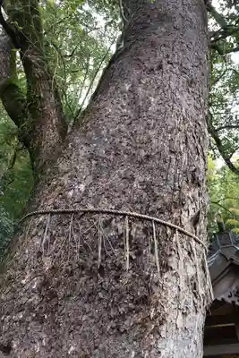 玉園稲荷神社(長崎県)