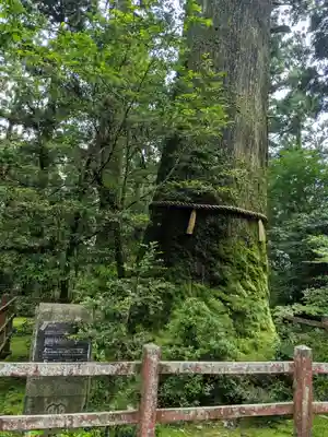 箱根神社(神奈川県)