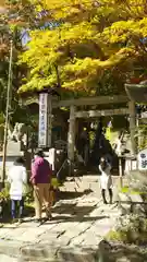 熊野皇大神社の鳥居