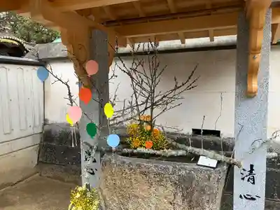 三津厳島神社の手水舎