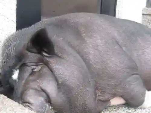 常清寺(神奈川県)