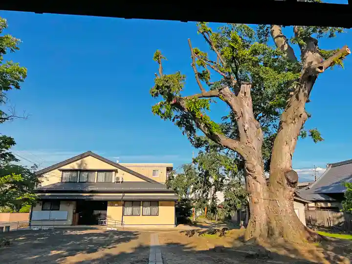 木留神社の自然