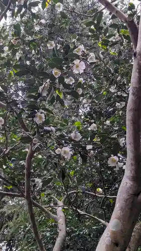 大豊神社(京都府)