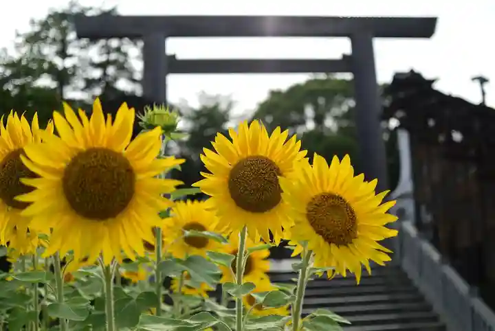 伊勢山皇大神宮(神奈川県)