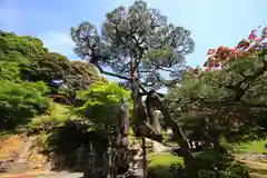 龍雲寺の庭園