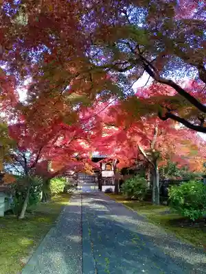 正樂寺(宮城県)