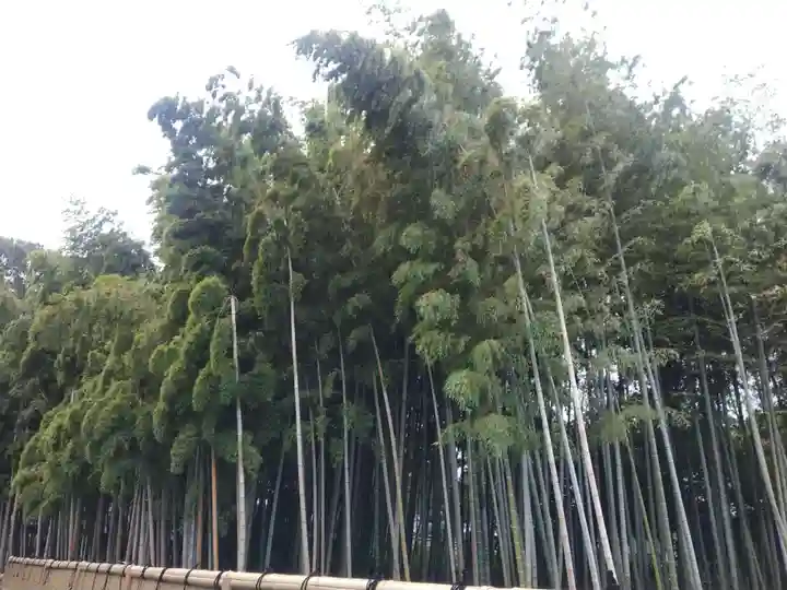 勝光院(東京都)