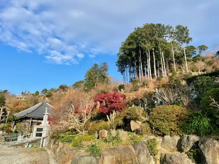 龍源寺(静岡県)