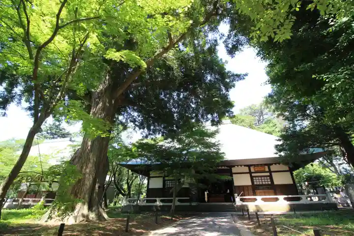 淨眞寺のその他建物
